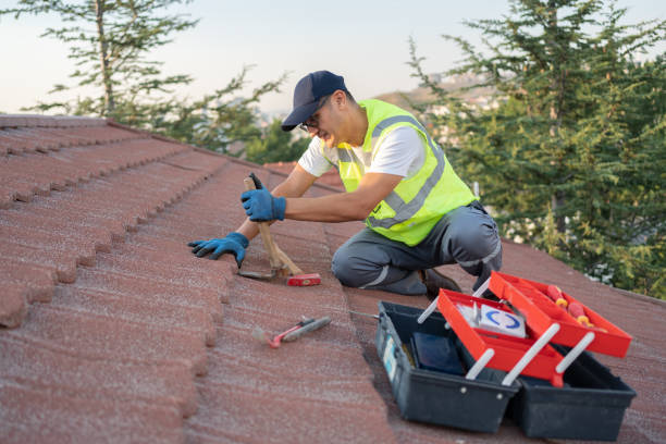 Best Green or Eco-Friendly Roofing Solutions  in Dalton Gardens, ID